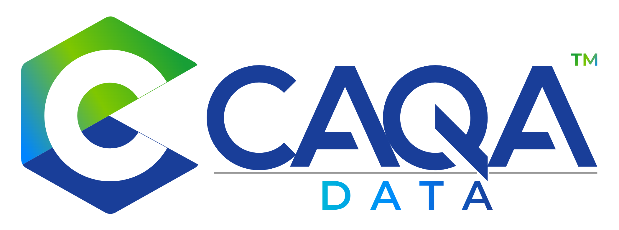 CAQA Data — official logo