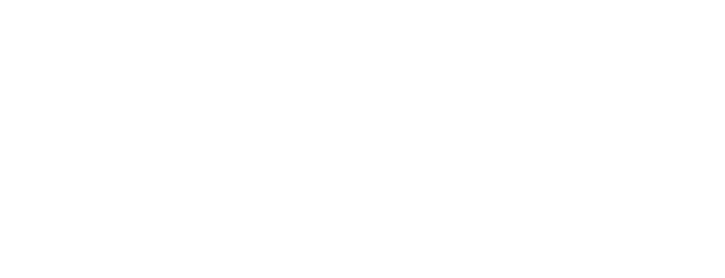 ROI Real Estate Group — official logo