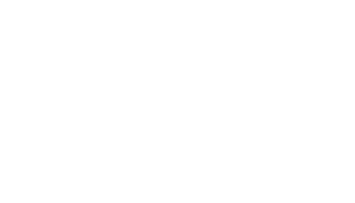 The HE Sector — official logo